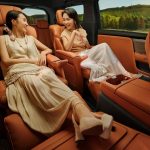 Buick Electra Encasa