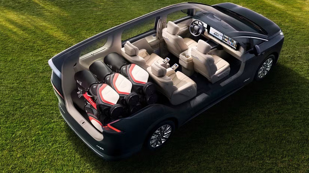 Buick Electra Encasa