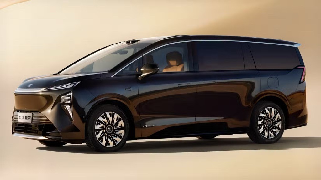 Buick Electra Encasa