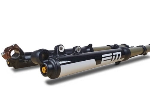 Electric Motion Escape R