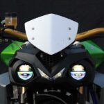 ENERGICA EVA RIBELLE