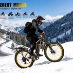 eoeotwo e01 fat tire e bike 4