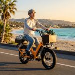 Troxus Lynx Cargo e-bike