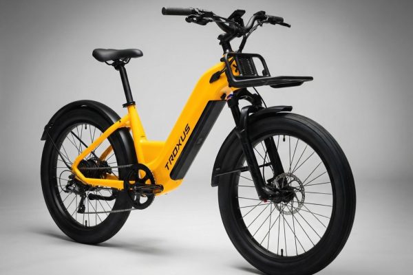 Troxus Lynx Cargo e-bike